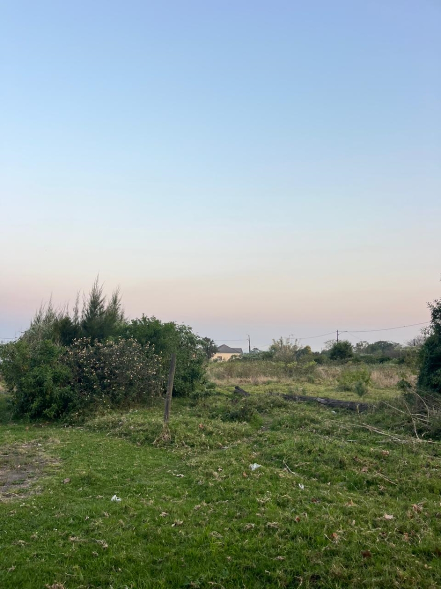 0 Bedroom Property for Sale in Berlin Eastern Cape